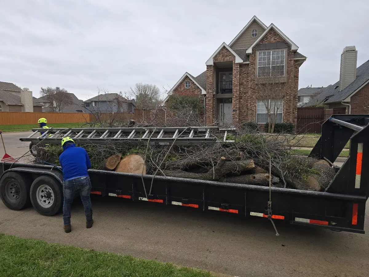 Expert Tree Fertilization with proper safety equipment in Earlham